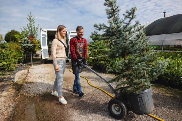 Best Stump Grinding Near Me  in Yelm, WA